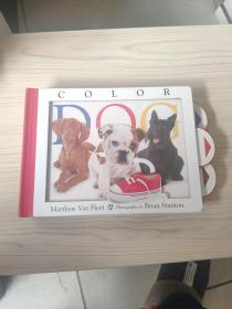 Matthew Van Fleet: Color Dog 彩色的狗狗 立体翻翻书 亲子童书 4-6岁
