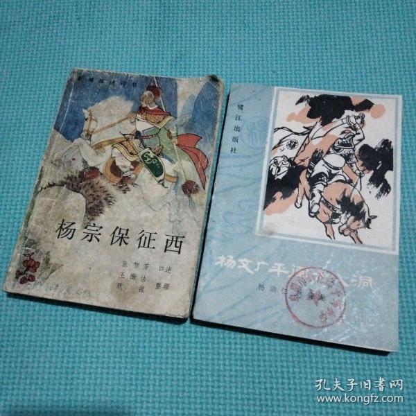 杨文广 平 闽 十八 洞 杨宗保征西