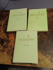 广西农村合作经济史料【上、下册、续编，平装共3本】