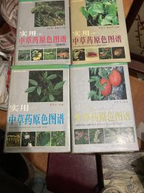 实用中草药原色图谱1-4