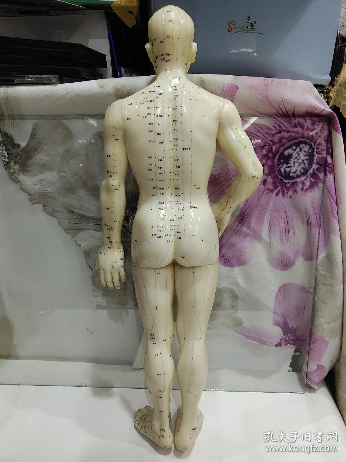 老胶皮针灸人体模型男性高50厘米无底座