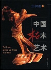 【正版书籍】中国枯木艺术