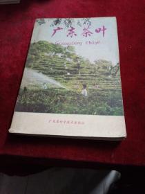 广东茶叶