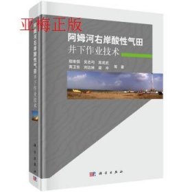 【正版书籍】阿姆河右岸酸性气田井下作业技术