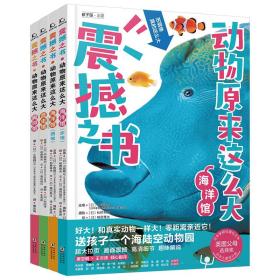 全新正版 震撼之书·动物原来这么大（第二辑：套装共4册） 小宫辉之 9787511056443 海豚