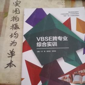 VBSE跨专业综合实训