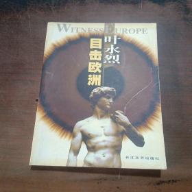 目击欧洲