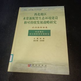 西北地区 水资源配置生态环境建设和可持续发展战略研究 水污染防治卷