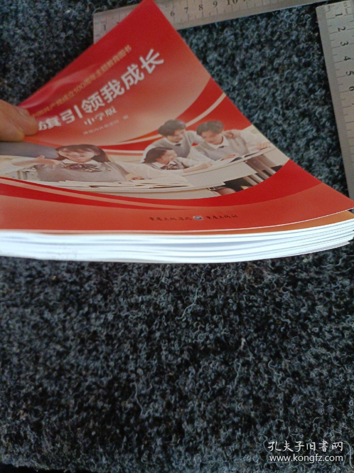 党旗引领我成长中学版