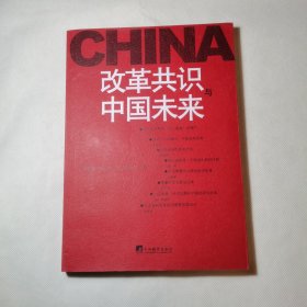 改革共识与中国未来