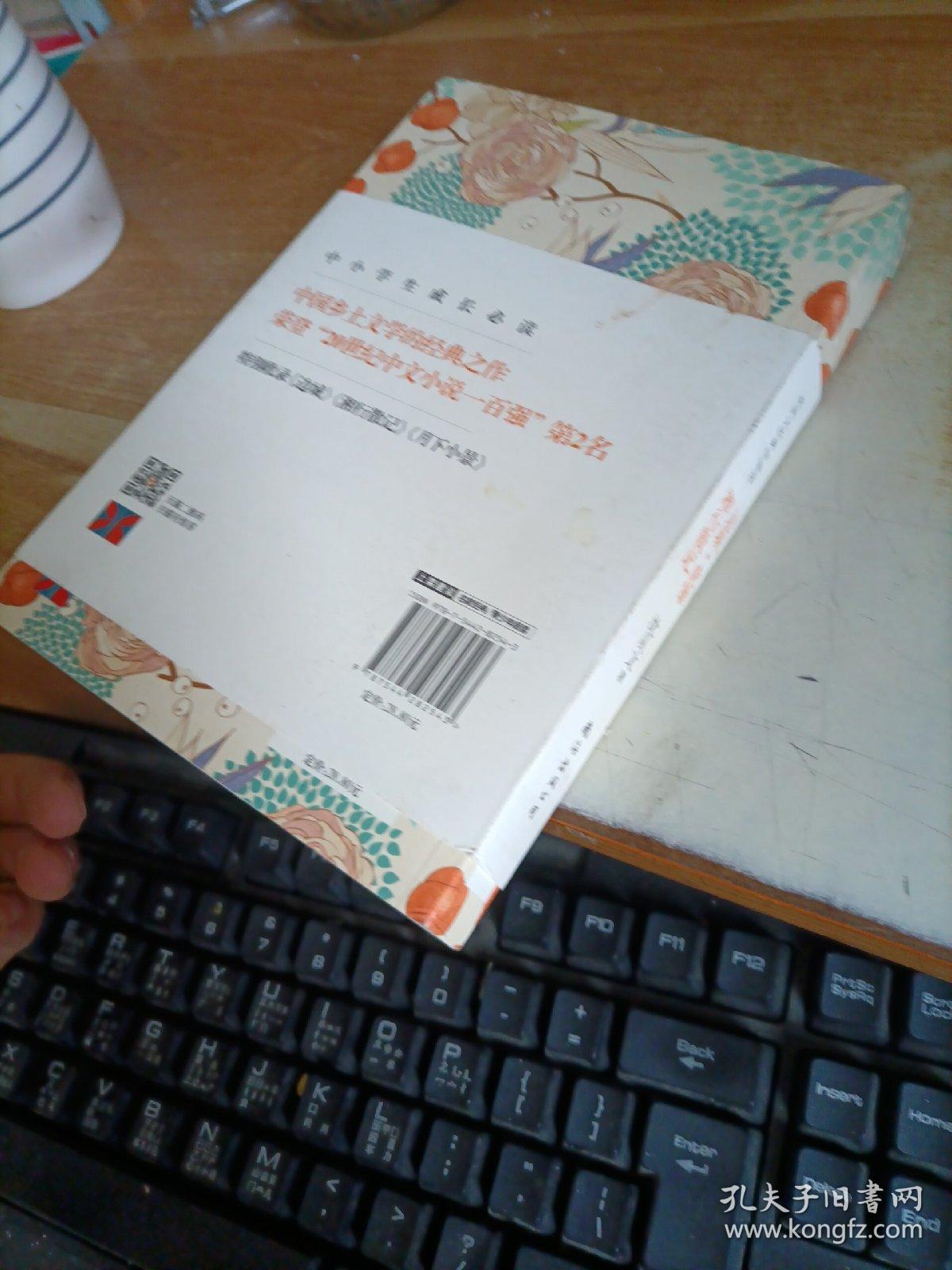 边城虎雏湘行散记沈从文著南海出版公司9787544282543