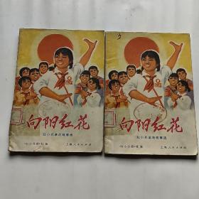 向阳红花：红小兵革命故事选（彩画封面内有24幅插图）2册合售