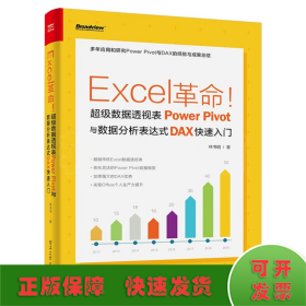 Excel革命!超级数据透视表Power Pivot与数据分析表达式DAX快速入门