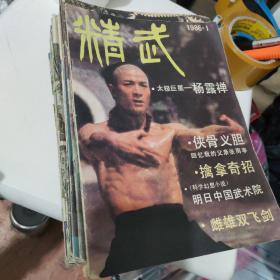 武林 精武等杂志28册合售