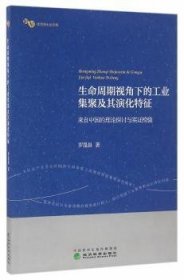 【正版新书】 生命周期视角下的工业集聚及其演化特征:来自中国的理论探讨与实检验 罗胤晨　著 经济科学出版社