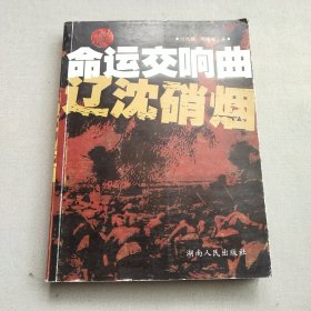 中国命运交响曲：辽沈硝烟