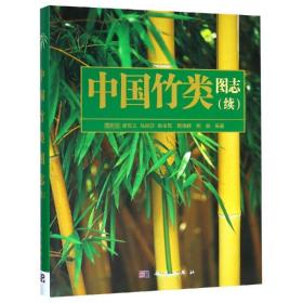 中国竹类图志(续)/易同培 大中专理科科技综合 易同培,