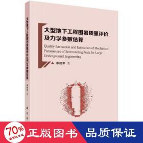 大型地下工程围岩质量评价及力学参数估算 建筑工程 申艳军 新华正版