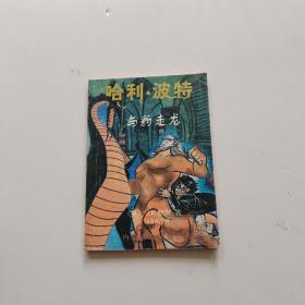 哈利波特與暴走龍
