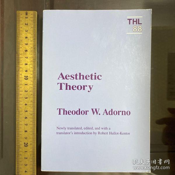 Aesthetic Theory a history introduction to theories philosophy language