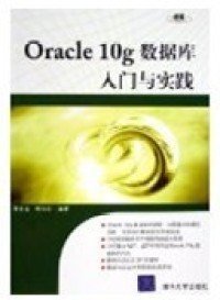Oracle10g数据库入门与实践