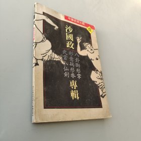 中华武术大观 1——沙国政专辑