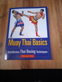 Muay Thai Basics: Introductory Thai Boxing Techniques