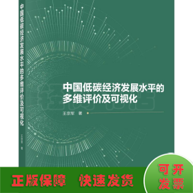 中国低碳经济发展水平的多维评价及可视化 王宗军 著 新华文轩网络书店 图书
