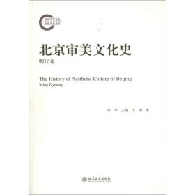 保正版！北京审美文化史9787301225042北京大学出版社王南