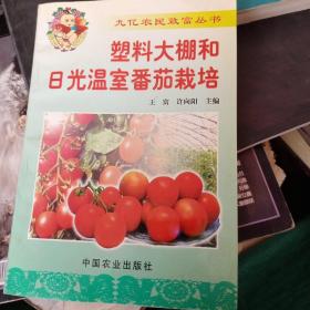 塑料大棚和日光温室番茄栽培