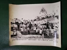 老照片：安徽省六安县在政府的组织下，进行生产自救