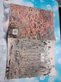 云南画院画家作品选李平