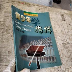 青少年学指挥——“青少年学音乐”系列丛书