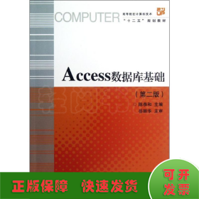 Access数据库基础(第2版高等院校计算机技术十二五规划教材)