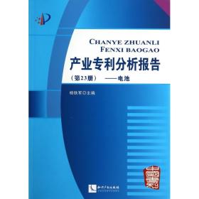 全新正版 产业专利分析报告(第23册电池) 杨铁军 9787513026376 知识产权