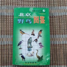 北京野鸟图鉴
