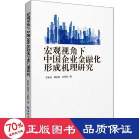 宏观视角下中国企业金融化形成机理研究 财政金融 花秋玲,杨吉喆,王羿钦 新华正版