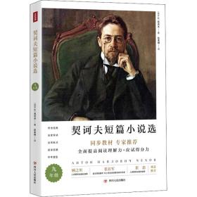 契诃夫短篇小说选  (俄罗斯)契诃夫 新华正版