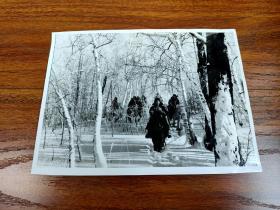 原版老照片: 巡逻在林海雪原（著名摄影家 唐茂林 拍摄并签名 20厘米Х14.6厘米）