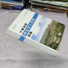 宁夏地震诱发黄土滑坡图集