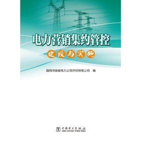 【正版书籍】电力营销集约管控建设与实施