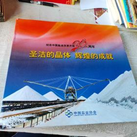 「纪念中国盐业改革30周年」圣洁的晶体 辉煌的成就