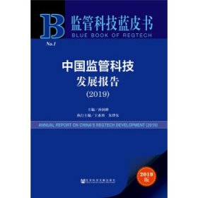 中国监管科技发展报告2019N0.1