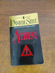 DANIELLE   STEEL  ACCIDENT