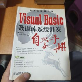 Visual Basic 数据库系统开发自学手册