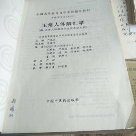 正常人体解剖学