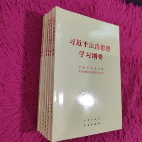 习近平法治思想学习纲要（32开）