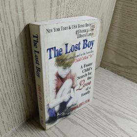The Lost Boy：A Foster Child's Search for the Love of a Family