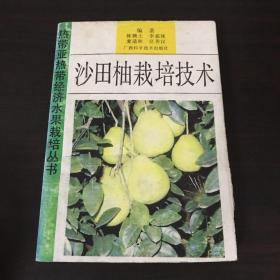 沙田柚栽培技术