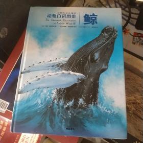 动物百科图鉴：鲸